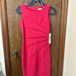 Calvin Klein Women's Fuchsia Midi Dress